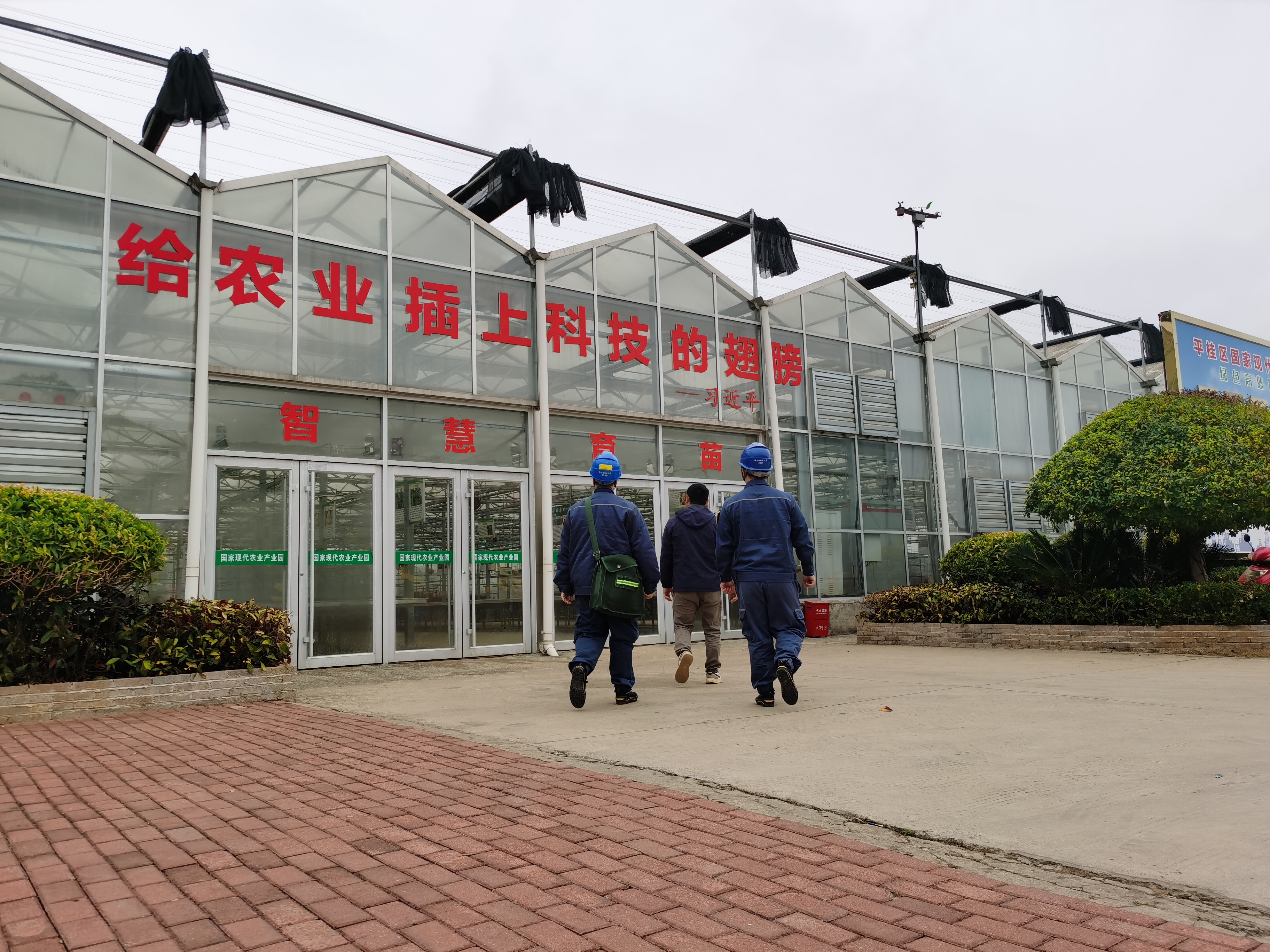 蔬菜大棚造价每亩多少钱(蔬菜大棚一般一亩地需要多少钱)
