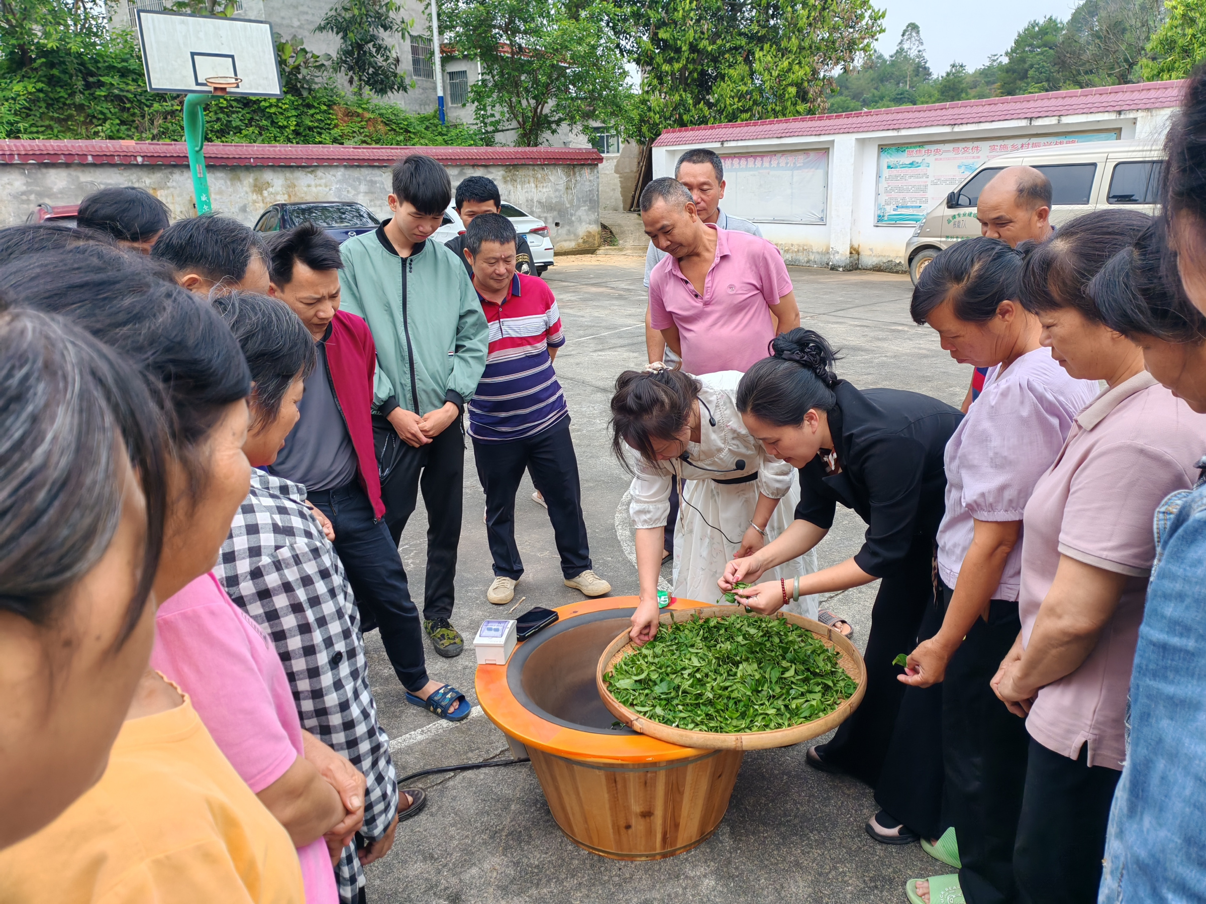 “干货”满满！贺州两地产业技术培训让茶农芋农信心倍增