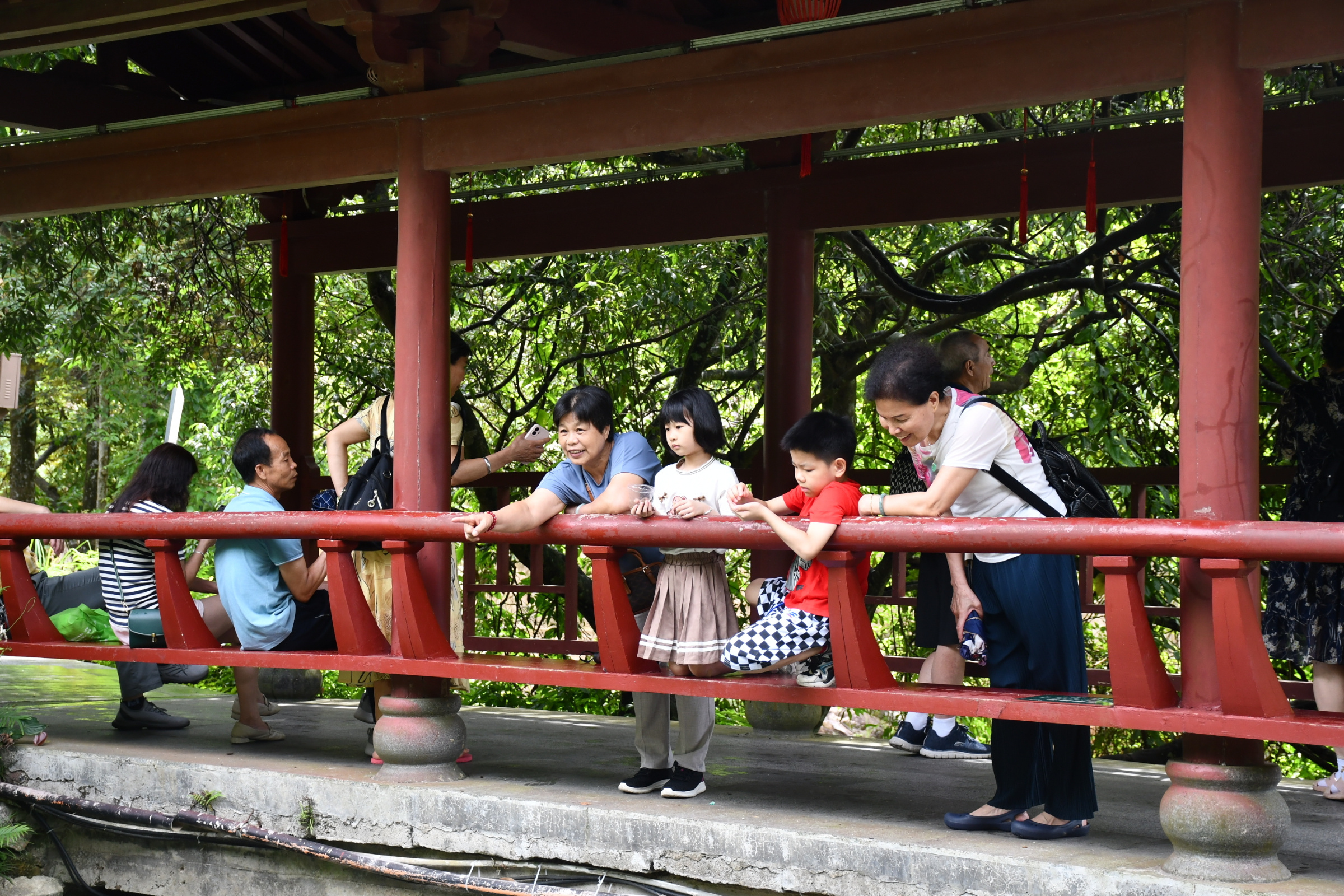 “广东身份证 = 免费门票！” 贺州景区被广东游客 “承包” 了