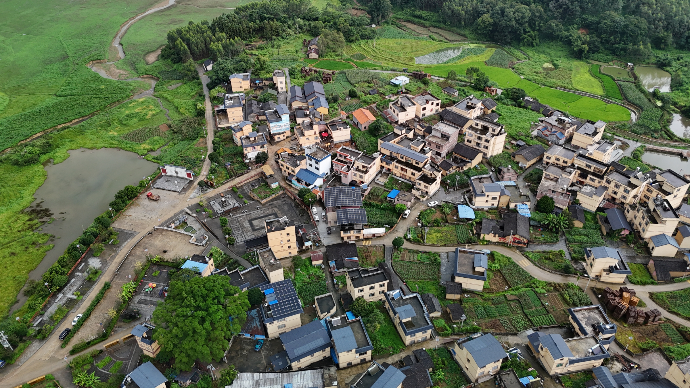 企业省心、村民舒心！平桂区“清廉矩阵”发力，产业、乡村、社区处处见实效