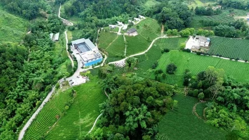 点赞！昭平获“三茶统筹・科技振兴奖”