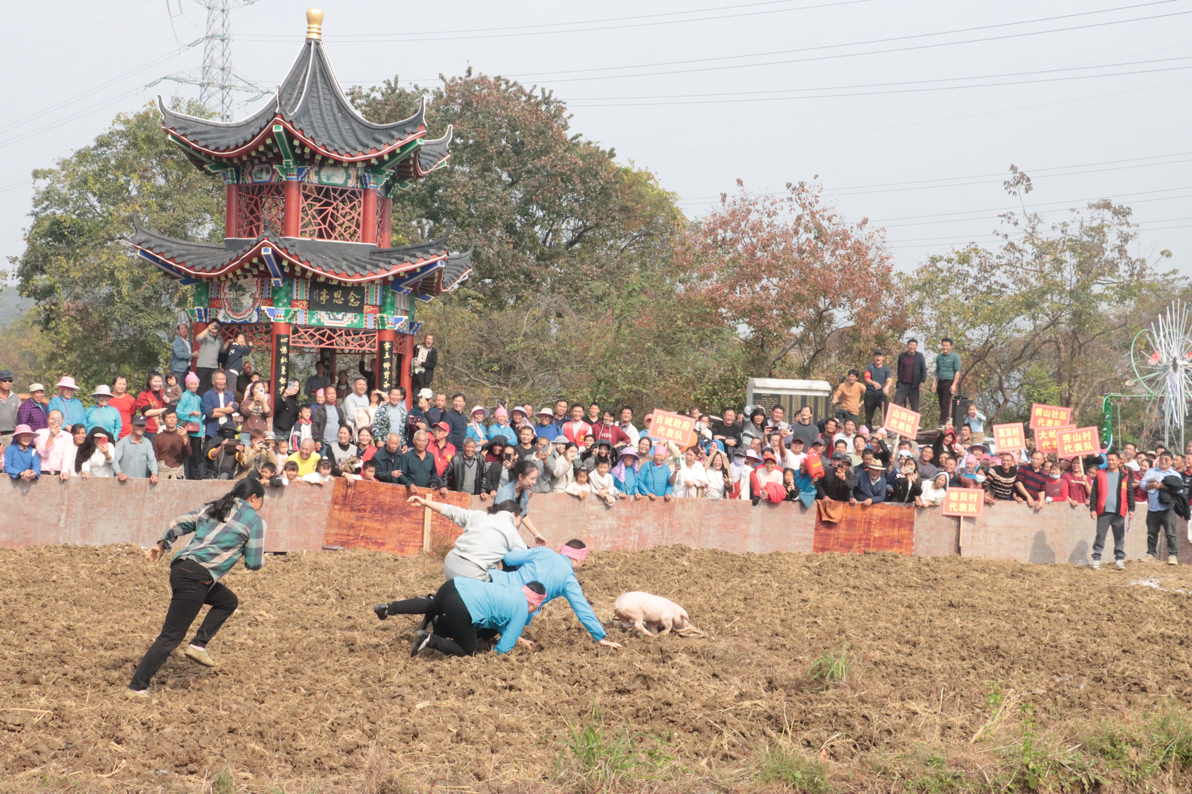 趣味爆棚！富川古城镇这场活动很“有料”→