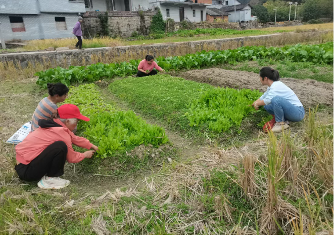 花山瑶族乡：闲田不“闲” 餐桌常“鲜”