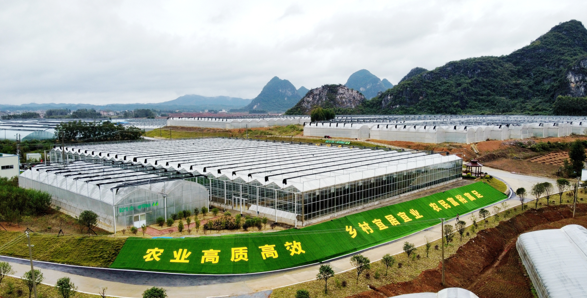 从乡土特产到全国名特优新！平桂农产品凭“身份证”，畅销粤港澳大湾区市场