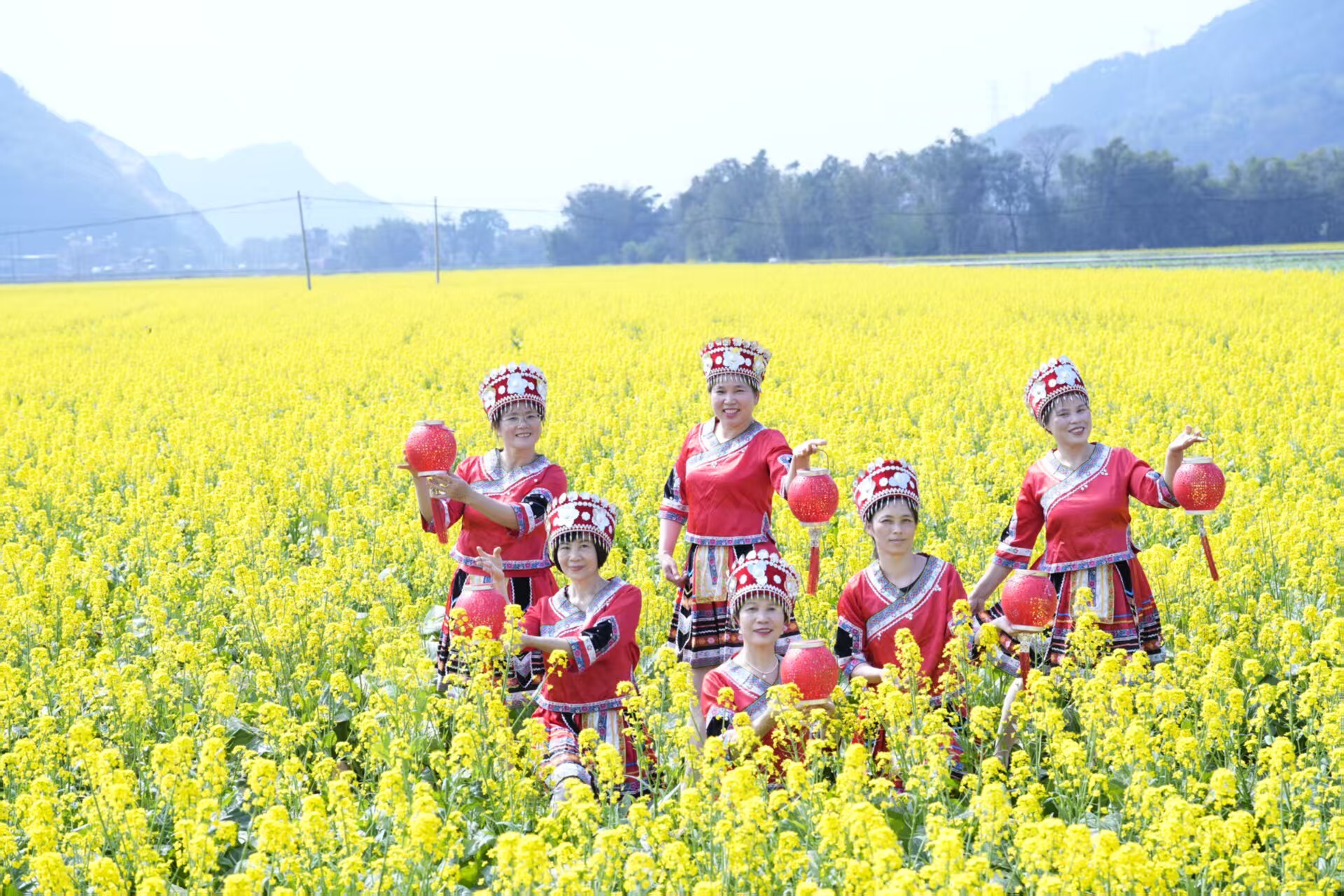 钟山县红花镇：花开春意浓  赏花正当时