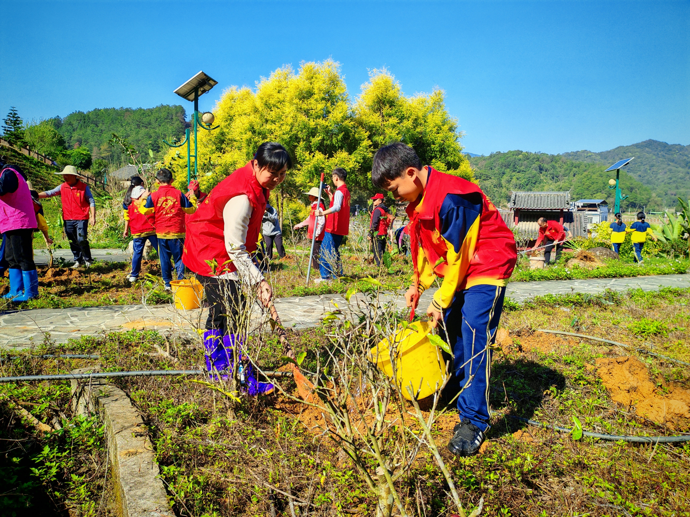 钟山花山瑶族乡开展2026年“学雷锋践初心 植绿护水守清廉”主题活动