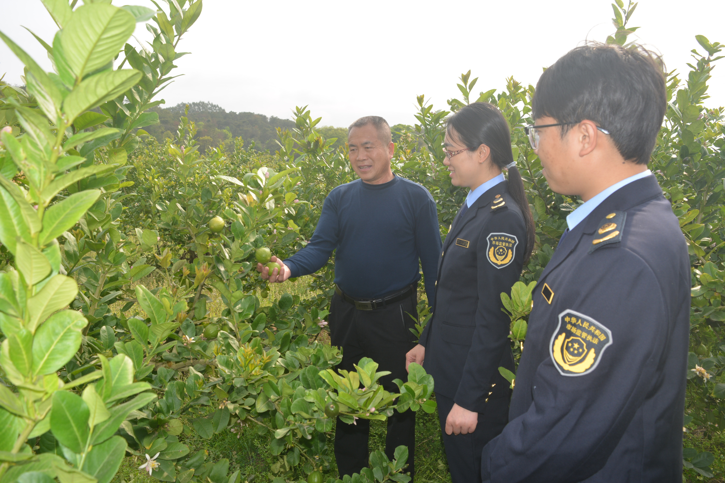 钟山：以“有机”为笔  激活乡村振兴“一池春水”