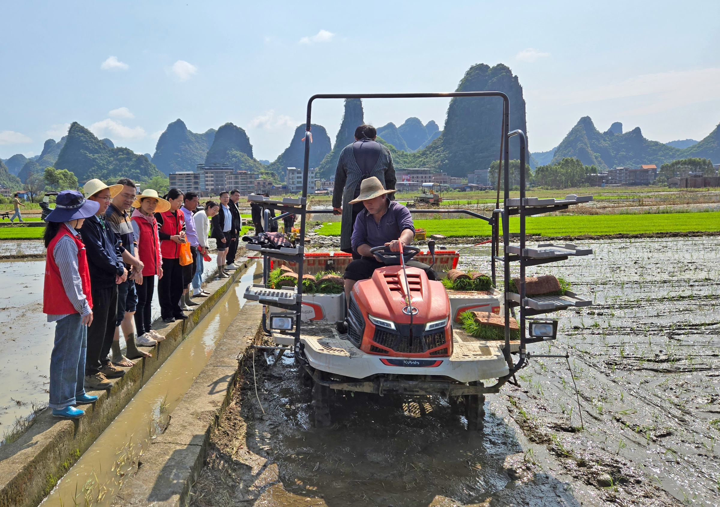 昭平：农技人员下乡送技，筑牢粮食安全“耕”基