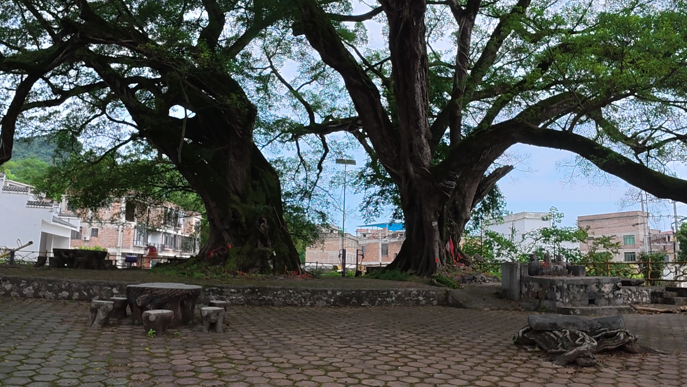 平桂古村“复活记”