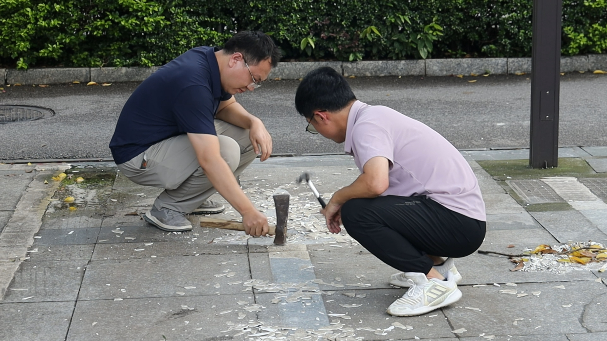 热线速办解民忧  消除出行安全隐患获市民点赞